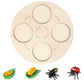 Montessori Science Education | Animal & Insect Life-Cycle Board