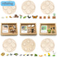 Montessori Science Education | Animal & Insect Life-Cycle Board