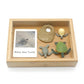 Montessori Science Education | Animal & Insect Life-Cycle Board