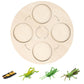 Montessori Science Education | Animal & Insect Life-Cycle Board