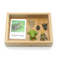 Montessori Science Education | Animal & Insect Life-Cycle Board