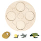 Montessori Science Education | Animal & Insect Life-Cycle Board