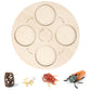 Montessori Science Education | Animal & Insect Life-Cycle Board