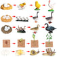 Montessori Science Education | Animal & Insect Life-Cycle Board