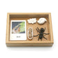 Montessori Science Education | Animal & Insect Life-Cycle Board